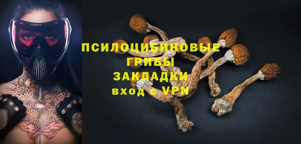 соль ск Алексин