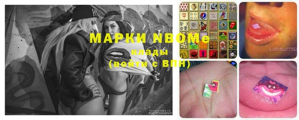 гашик Алексеевка